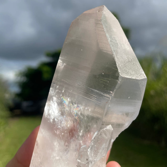 Clear Lemurian Quartz Crystal #1051