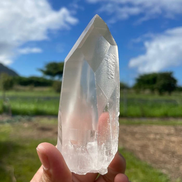 Clear Lemurian Quartz Crystal #1052