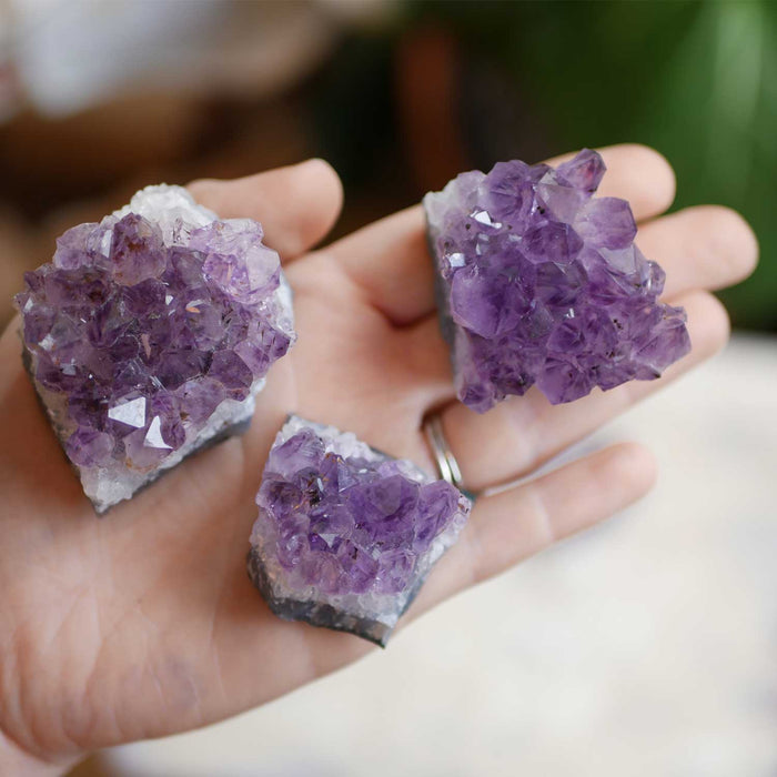 Amethyst Cluster