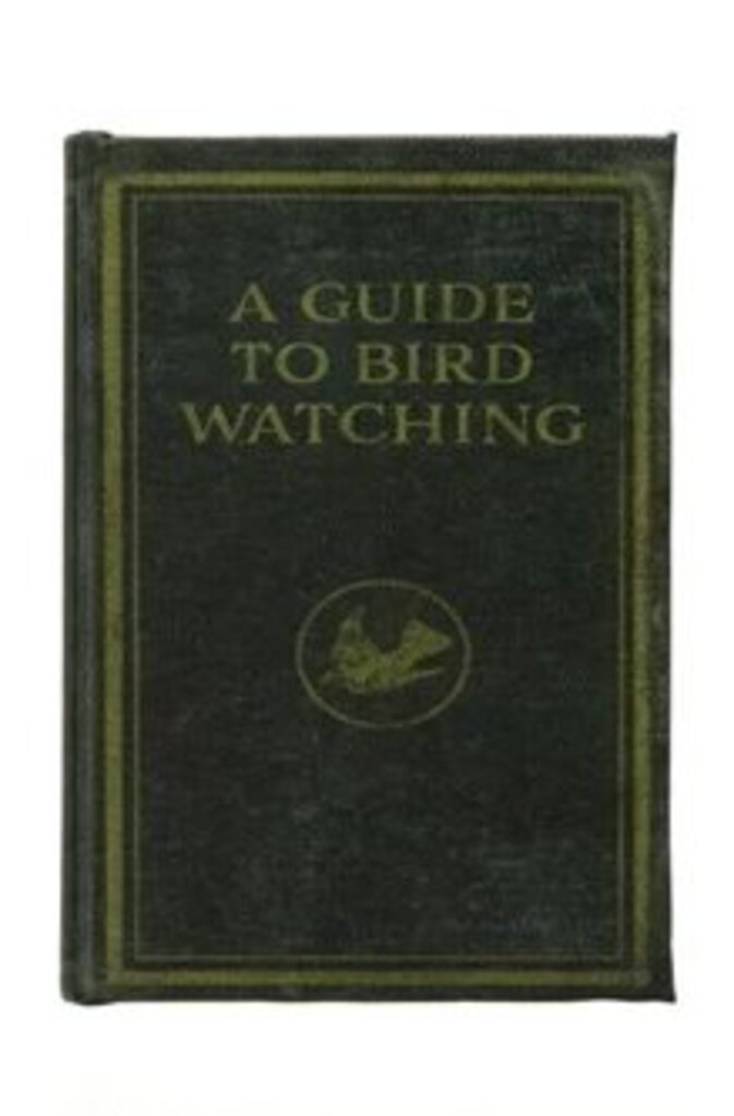 Bird Watching Book Storage Box 8 1/2"