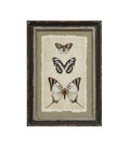 Butterfly Dark, Framed Wall Decor