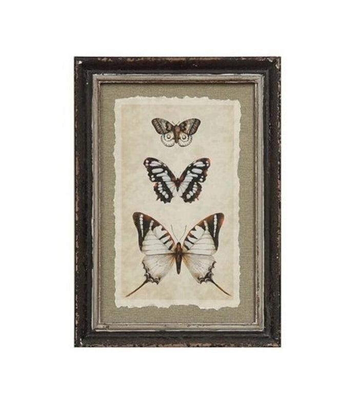 Butterfly Dark, Framed Wall Decor
