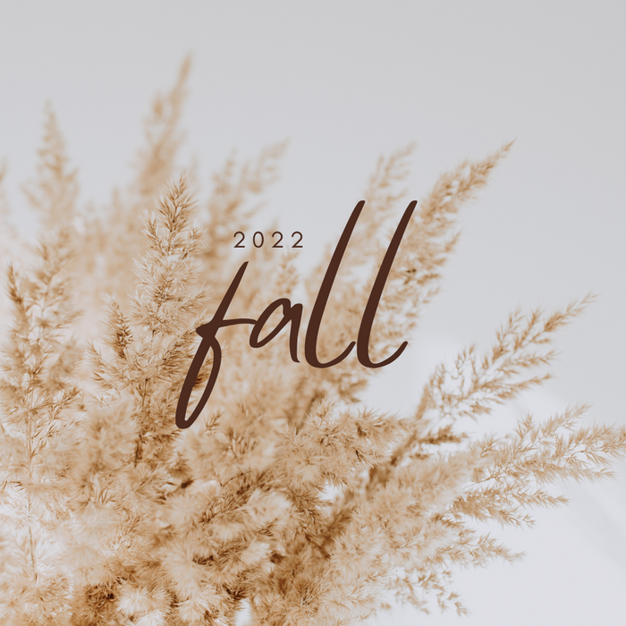 Fall Surprise Box