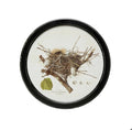 Framed Wall Decor with Nest Print, Kingbird