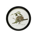 Framed Wall Decor with Nest Print, Summer Redbird