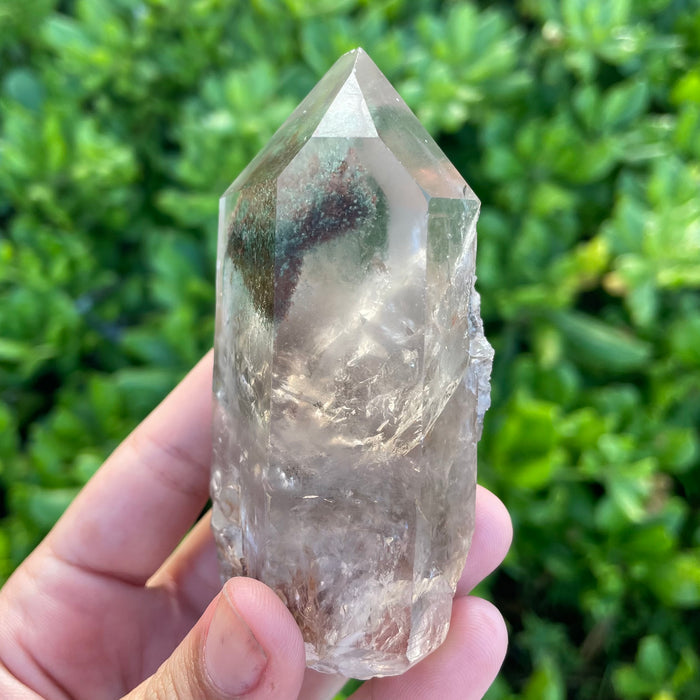 Garden Lemurian Quartz #1098