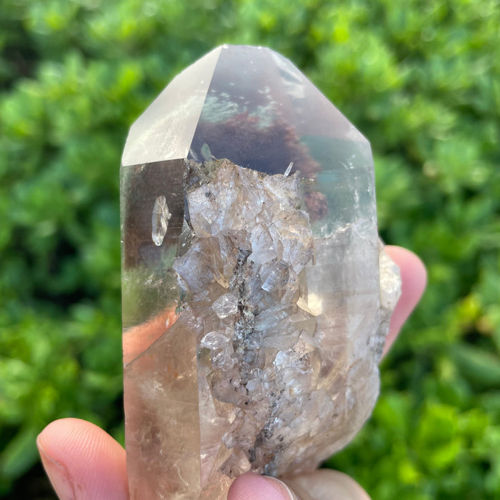 Garden Lemurian Quartz #1098