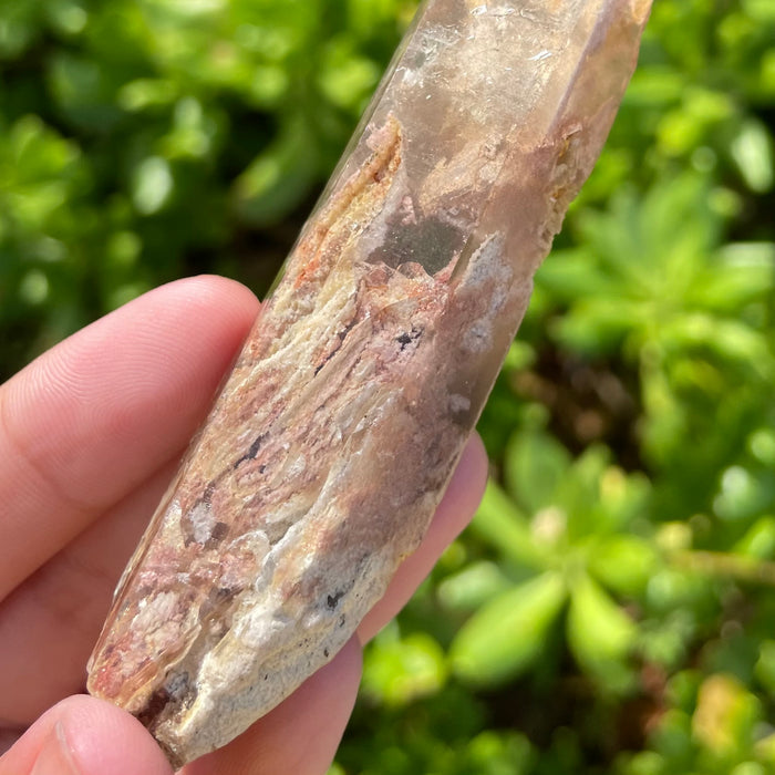 Garden Lemurian Quartz #1105