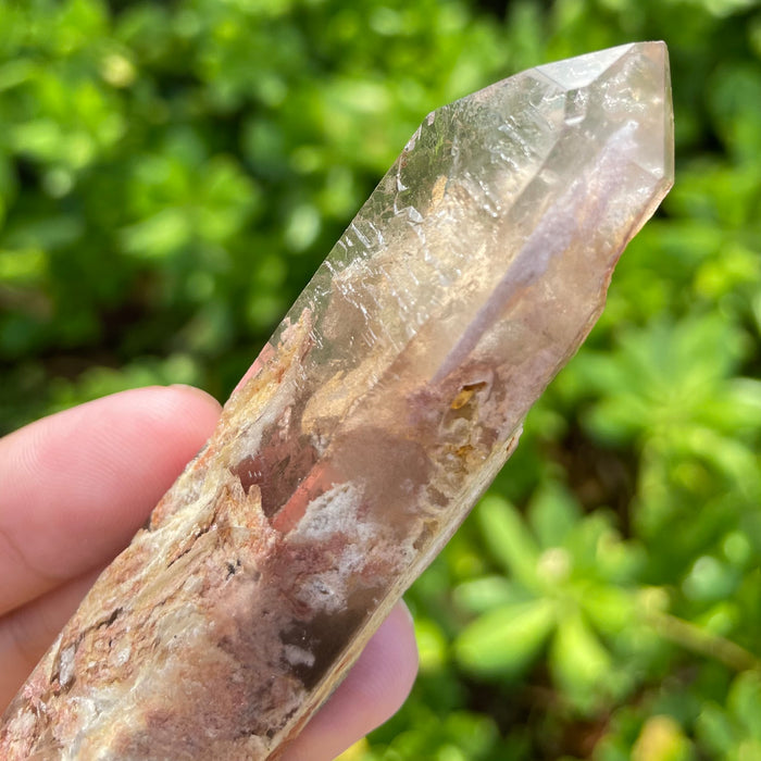 Garden Lemurian Quartz #1105