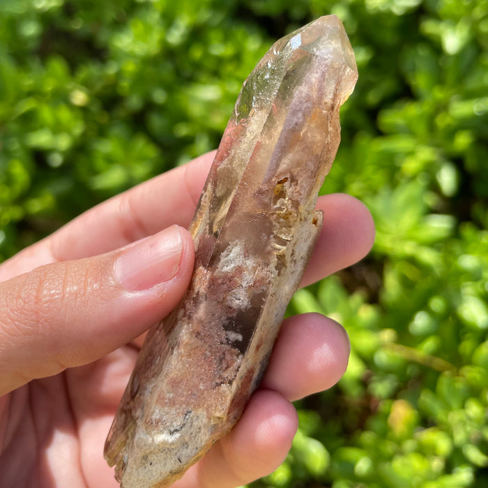 Garden Lemurian Quartz #1105