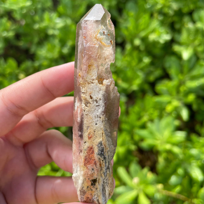 Garden Lemurian Quartz #1105