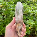 Garden Lemurian Quartz #1106