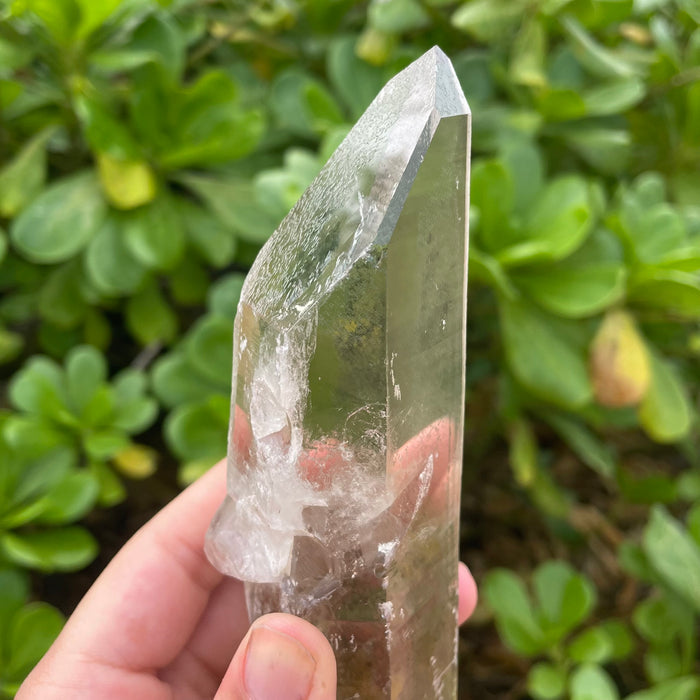 Garden Lemurian Quartz #1106