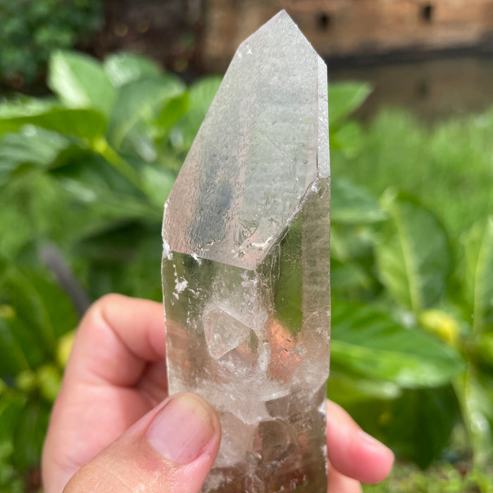 Garden Lemurian Quartz #1106