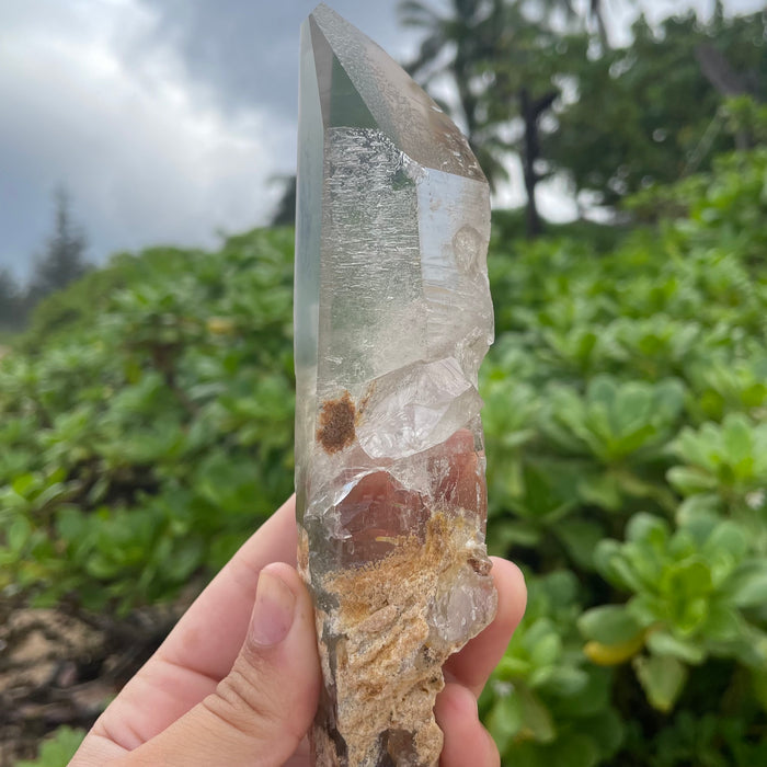 Garden Lemurian Quartz #1106