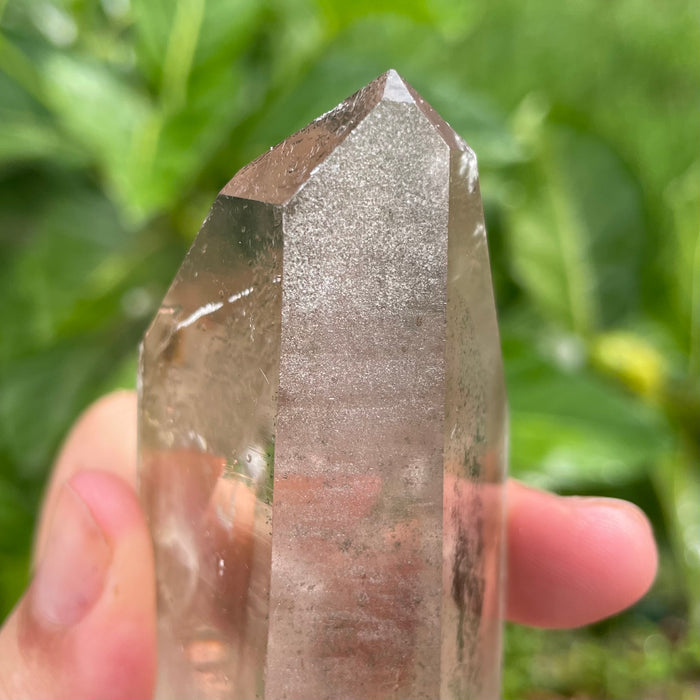 Garden Lemurian Quartz #1106