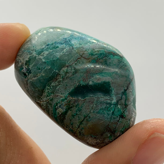 1x Chrysocolla Tumble!