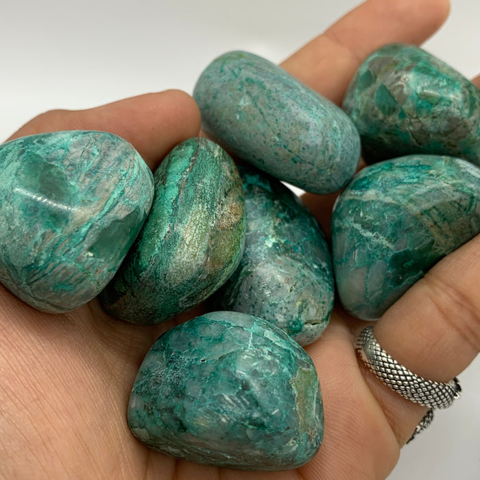 1x Chrysocolla Tumble!