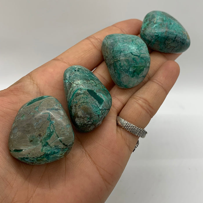 1x Chrysocolla Tumble!