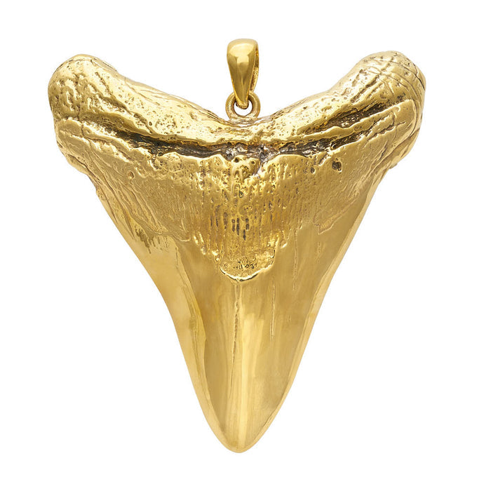 Large Tooth Pendant