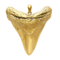Large Tooth Pendant