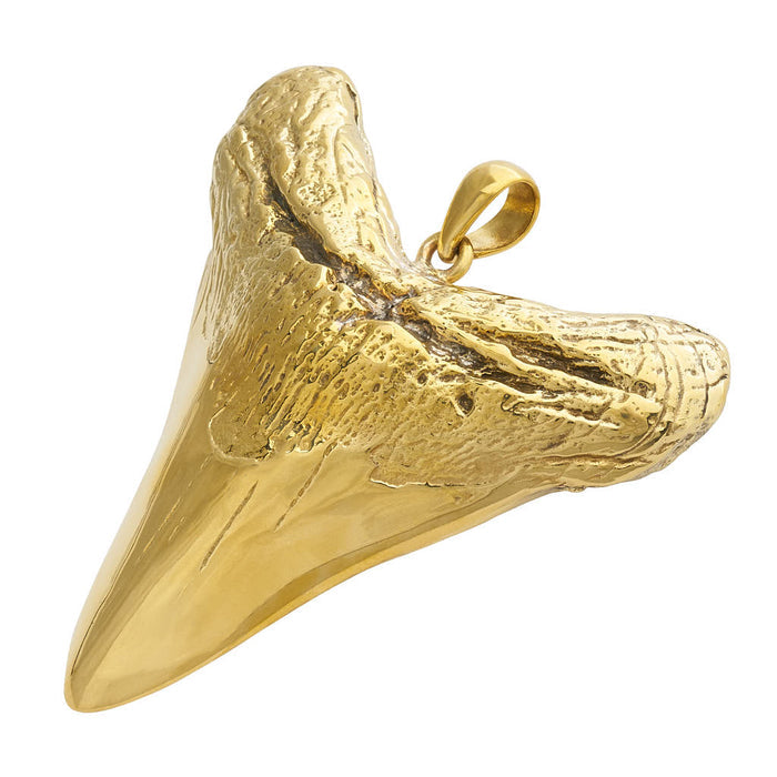 Large Tooth Pendant