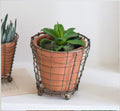 Terracotta Planter with Wire Wrap, Medium
