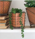 Terracotta Planter with Wire Wrap, Small