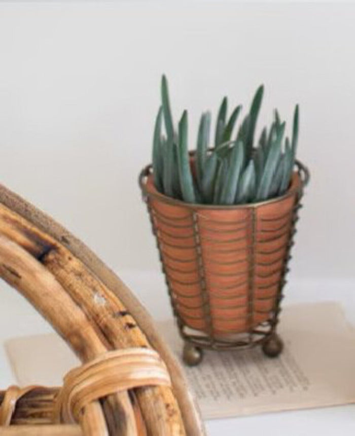 Terracotta Planter with Wire Wrap, X-Small